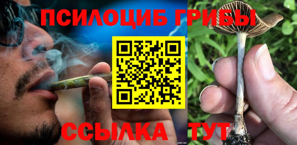 Псилоцибиновые грибы Psilocybe Бутурлиновка