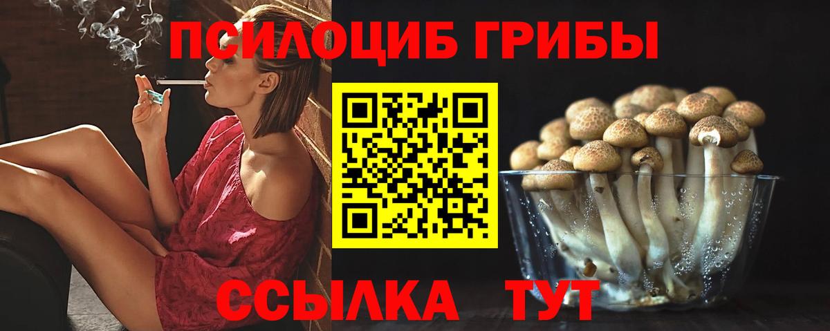 Псилоцибиновые грибы мицелий  Вход с VPN  где купить наркотик  Псилоцибиновые грибы мухоморы  Бутурлиновка 
